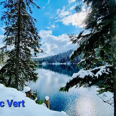 Apartment Au Petit Verger Masevaux-Niederbruck