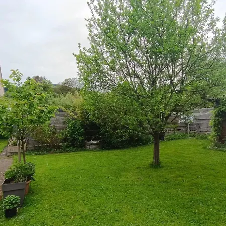 Au Petit Verger Apartment Masevaux-Niederbruck