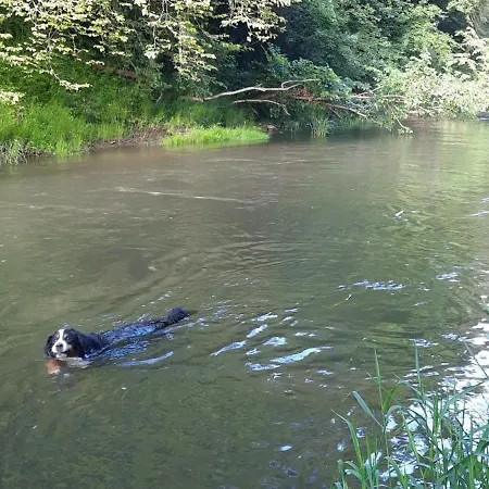 Au Petit Verger * Masevaux-Niederbruck