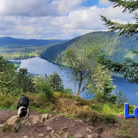 公寓 Au Petit Verger Masevaux-Niederbruck