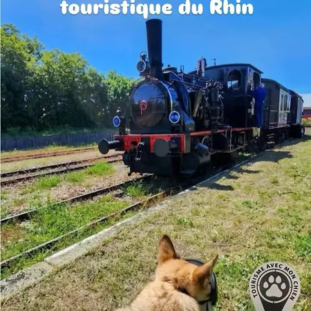 Au Petit Verger * Masevaux-Niederbruck